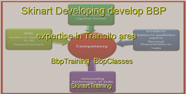 Skinart Developing develop BBP expertise in Transito area | BbpTraining | BbpClasses | SkinartTraining-Argentina