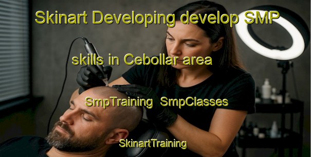 Skinart Developing develop SMP skills in Cebollar area | SmpTraining | SmpClasses | SkinartTraining-Argentina