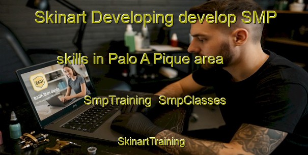 Skinart Developing develop SMP skills in Palo A Pique area | SmpTraining | SmpClasses | SkinartTraining-Argentina
