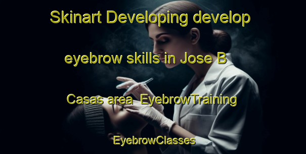 Skinart Developing develop eyebrow skills in Jose B  Casas area | EyebrowTraining | EyebrowClasses | SkinartTraining-Argentina