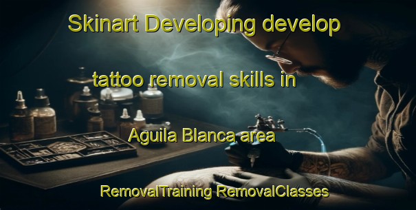 Skinart Developing develop tattoo removal skills in Aguila Blanca area | #RemovalTraining #RemovalClasses #SkinartTraining-Argentina