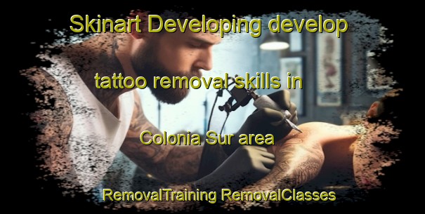 Skinart Developing develop tattoo removal skills in Colonia Sur area | #RemovalTraining #RemovalClasses #SkinartTraining-Argentina