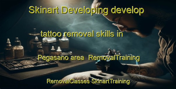 Skinart Developing develop tattoo removal skills in Pegasano area | #RemovalTraining #RemovalClasses #SkinartTraining-Argentina