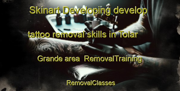 Skinart Developing develop tattoo removal skills in Tolar Grande area | RemovalTraining | RemovalClasses | SkinartTraining-Argentina
