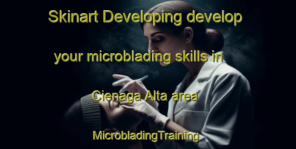 Skinart Developing develop your microblading skills in Cienaga Alta area | #MicrobladingTraining #MicrobladingClasses #SkinartTraining-Argentina