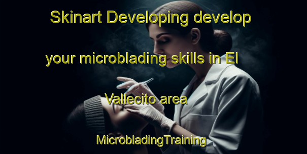 Skinart Developing develop your microblading skills in El Vallecito area | #MicrobladingTraining #MicrobladingClasses #SkinartTraining-Argentina