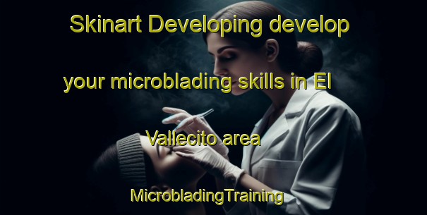 Skinart Developing develop your microblading skills in El Vallecito area | MicrobladingTraining | MicrobladingClasses | SkinartTraining-Argentina