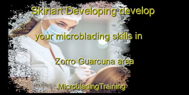 Skinart Developing develop your microblading skills in Zorro Guarcuna area | MicrobladingTraining | MicrobladingClasses | SkinartTraining-Argentina