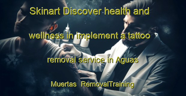 Skinart Discover health and wellness in implement a tattoo removal service in Aguas Muertas | RemovalTraining | RemovalClasses | SkinartTraining-Argentina