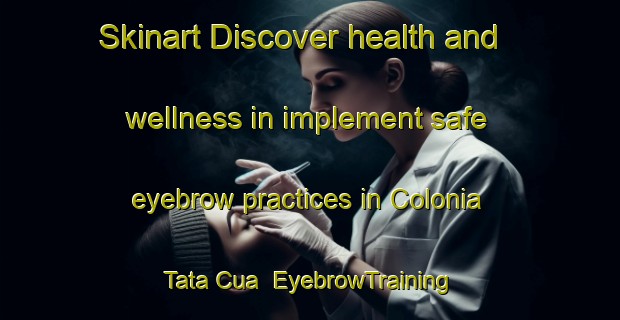 Skinart Discover health and wellness in implement safe eyebrow practices in Colonia Tata Cua | EyebrowTraining | EyebrowClasses | SkinartTraining-Argentina