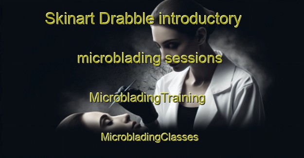 Skinart Drabble introductory microblading sessions | MicrobladingTraining | MicrobladingClasses | SkinartTraining-Argentina
