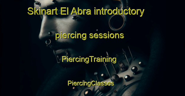 Skinart El Abra introductory piercing sessions | PiercingTraining | PiercingClasses | SkinartTraining-Argentina