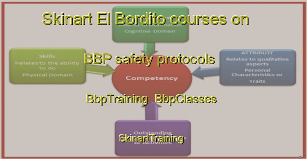 Skinart El Bordito courses on BBP safety protocols | BbpTraining | BbpClasses | SkinartTraining-Argentina