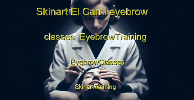 Skinart El Carril eyebrow classes | EyebrowTraining | EyebrowClasses | SkinartTraining-Argentina