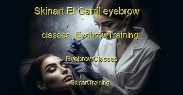 Skinart El Carril eyebrow classes | EyebrowTraining | EyebrowClasses | SkinartTraining-Argentina