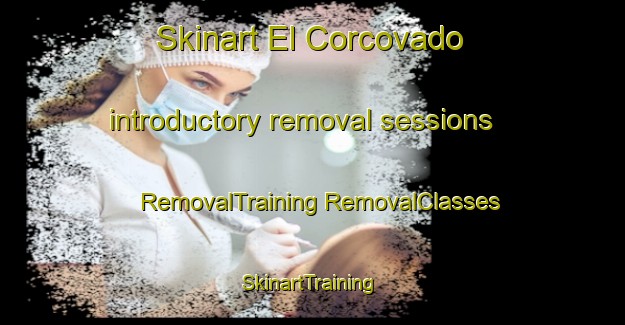 Skinart El Corcovado introductory removal sessions | #RemovalTraining #RemovalClasses #SkinartTraining-Argentina