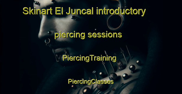 Skinart El Juncal introductory piercing sessions | #PiercingTraining #PiercingClasses #SkinartTraining-Argentina