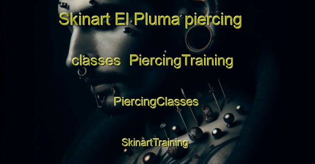 Skinart El Pluma piercing classes | #PiercingTraining #PiercingClasses #SkinartTraining-Argentina