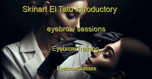 Skinart El Tatu introductory eyebrow sessions | EyebrowTraining | EyebrowClasses | SkinartTraining-Argentina