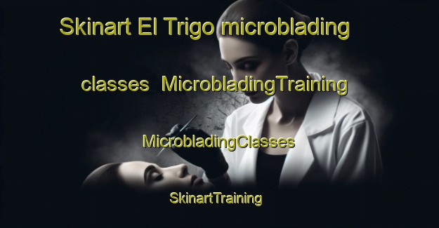 Skinart El Trigo microblading classes | #MicrobladingTraining #MicrobladingClasses #SkinartTraining-Argentina