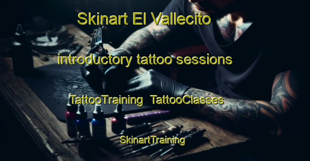 Skinart El Vallecito introductory tattoo sessions | TattooTraining | TattooClasses | SkinartTraining-Argentina