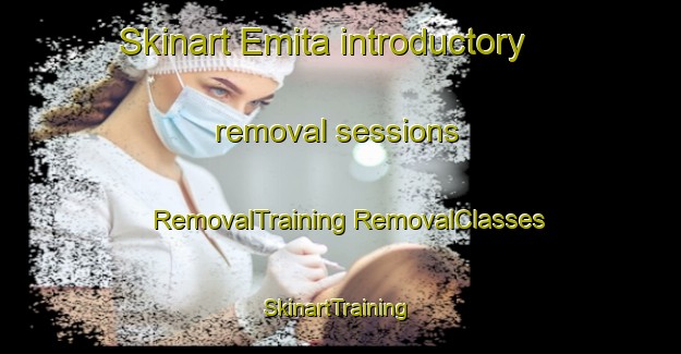 Skinart Emita introductory removal sessions | #RemovalTraining #RemovalClasses #SkinartTraining-Argentina