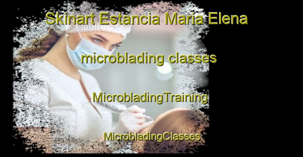 Skinart Estancia Maria Elena microblading classes | #MicrobladingTraining #MicrobladingClasses #SkinartTraining-Argentina