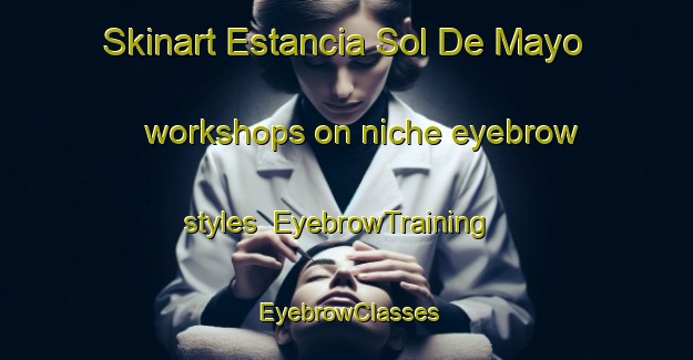 Skinart Estancia Sol De Mayo workshops on niche eyebrow styles | EyebrowTraining | EyebrowClasses | SkinartTraining-Argentina