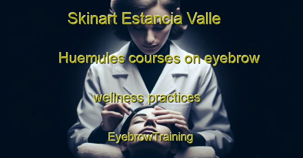 Skinart Estancia Valle Huemules courses on eyebrow wellness practices | EyebrowTraining | EyebrowClasses | SkinartTraining-Argentina