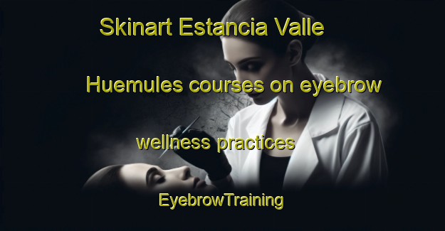 Skinart Estancia Valle Huemules courses on eyebrow wellness practices | EyebrowTraining | EyebrowClasses | SkinartTraining-Argentina