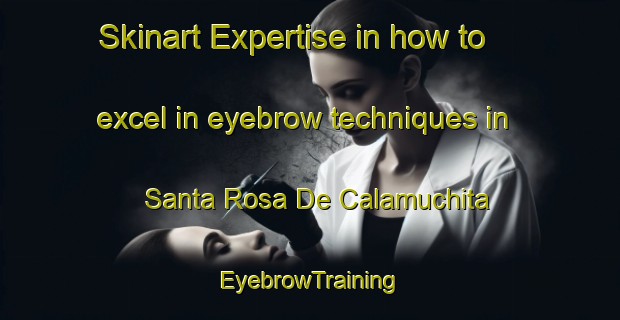 Skinart Expertise in how to excel in eyebrow techniques in Santa Rosa De Calamuchita | EyebrowTraining | EyebrowClasses | SkinartTraining-Argentina