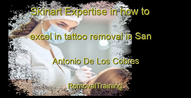 Skinart Expertise in how to excel in tattoo removal in San Antonio De Los Cobres | RemovalTraining | RemovalClasses | SkinartTraining-Argentina