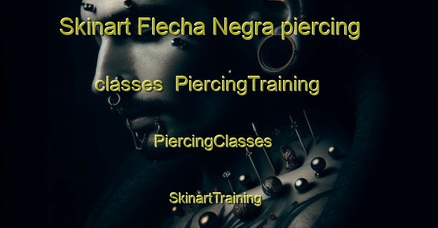 Skinart Flecha Negra piercing classes | PiercingTraining | PiercingClasses | SkinartTraining-Argentina