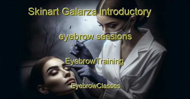 Skinart Galarza introductory eyebrow sessions | EyebrowTraining | EyebrowClasses | SkinartTraining-Argentina