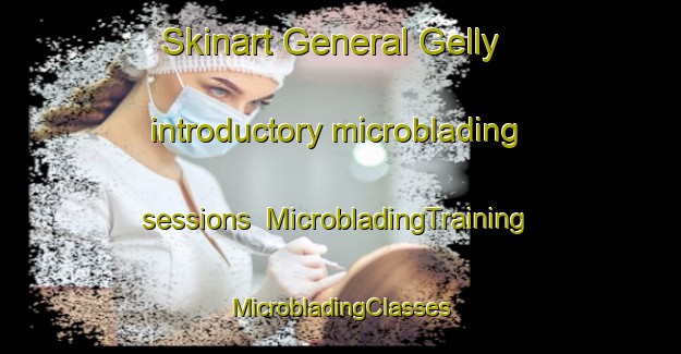 Skinart General Gelly introductory microblading sessions | #MicrobladingTraining #MicrobladingClasses #SkinartTraining-Argentina