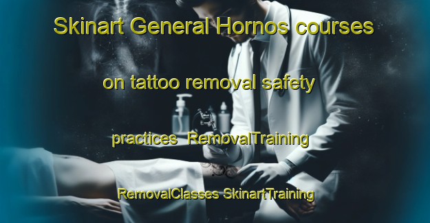 Skinart General Hornos courses on tattoo removal safety practices | #RemovalTraining #RemovalClasses #SkinartTraining-Argentina