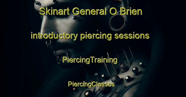 Skinart General O Brien introductory piercing sessions | PiercingTraining | PiercingClasses | SkinartTraining-Argentina