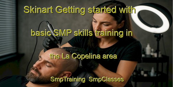 Skinart Getting started with basic SMP skills training in the La Copelina area | SmpTraining | SmpClasses | SkinartTraining-Argentina