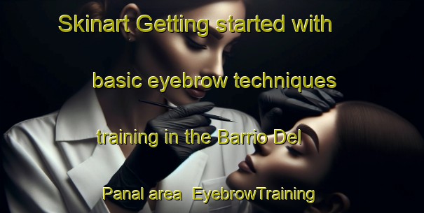 Skinart Getting started with basic eyebrow techniques training in the Barrio Del Panal area | EyebrowTraining | EyebrowClasses | SkinartTraining-Argentina