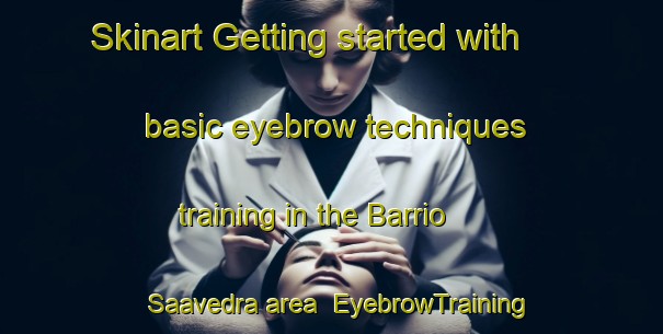 Skinart Getting started with basic eyebrow techniques training in the Barrio Saavedra area | EyebrowTraining | EyebrowClasses | SkinartTraining-Argentina