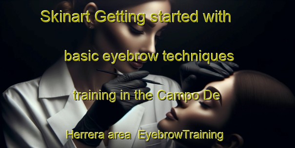 Skinart Getting started with basic eyebrow techniques training in the Campo De Herrera area | EyebrowTraining | EyebrowClasses | SkinartTraining-Argentina