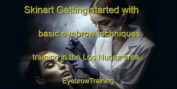 Skinart Getting started with basic eyebrow techniques training in the Los Nunez area | EyebrowTraining | EyebrowClasses | SkinartTraining-Argentina