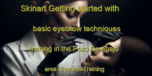 Skinart Getting started with basic eyebrow techniques training in the Pozo De Abajo area | EyebrowTraining | EyebrowClasses | SkinartTraining-Argentina