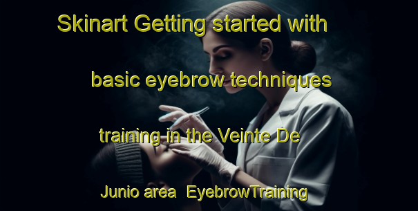 Skinart Getting started with basic eyebrow techniques training in the Veinte De Junio area | EyebrowTraining | EyebrowClasses | SkinartTraining-Argentina