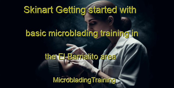 Skinart Getting started with basic microblading training in the El Barrialito area | MicrobladingTraining | MicrobladingClasses | SkinartTraining-Argentina
