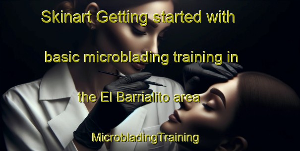Skinart Getting started with basic microblading training in the El Barrialito area | MicrobladingTraining | MicrobladingClasses | SkinartTraining-Argentina