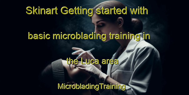 Skinart Getting started with basic microblading training in the Luca area | MicrobladingTraining | MicrobladingClasses | SkinartTraining-Argentina