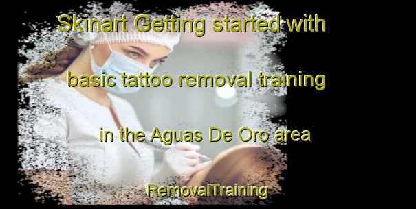 Skinart Getting started with basic tattoo removal training in the Aguas De Oro area | RemovalTraining | RemovalClasses | SkinartTraining-Argentina