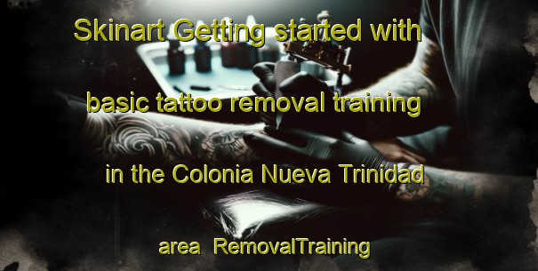 Skinart Getting started with basic tattoo removal training in the Colonia Nueva Trinidad area | RemovalTraining | RemovalClasses | SkinartTraining-Argentina