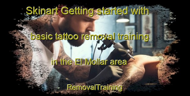 Skinart Getting started with basic tattoo removal training in the El Mollar area | RemovalTraining | RemovalClasses | SkinartTraining-Argentina
